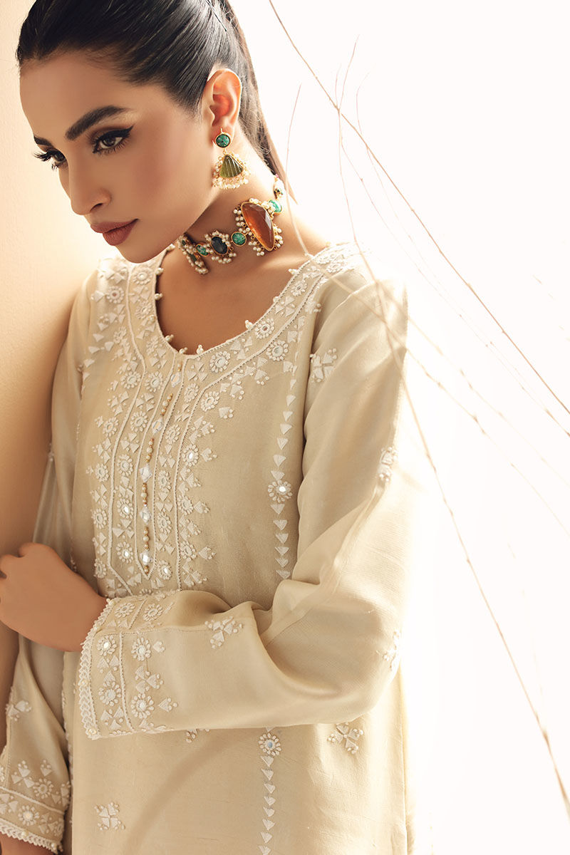 Pakistani Beige Hand-Embroidered Salwar Kameez (3-Piece) - Image 8