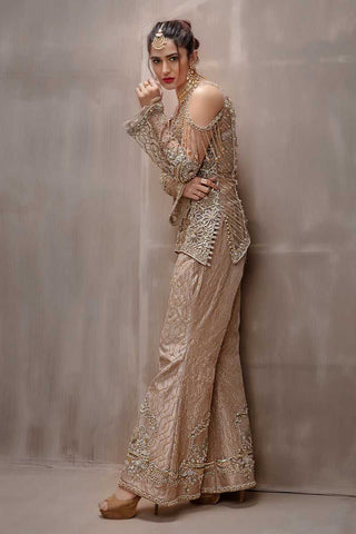 Deep Beige Embroidered Net Silk-Blend Salwar Kameez (2-Piece) - Image 3