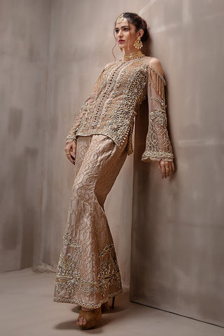 Deep Beige Embroidered Net Silk-Blend Salwar Kameez (2-Piece) - Image 5