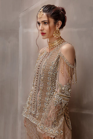 Deep Beige Embroidered Net Silk-Blend Salwar Kameez (2-Piece) - Image 6