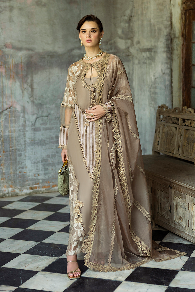Taupe Embroidered Organza Salwar Kameez (3-Piece) - Image 1