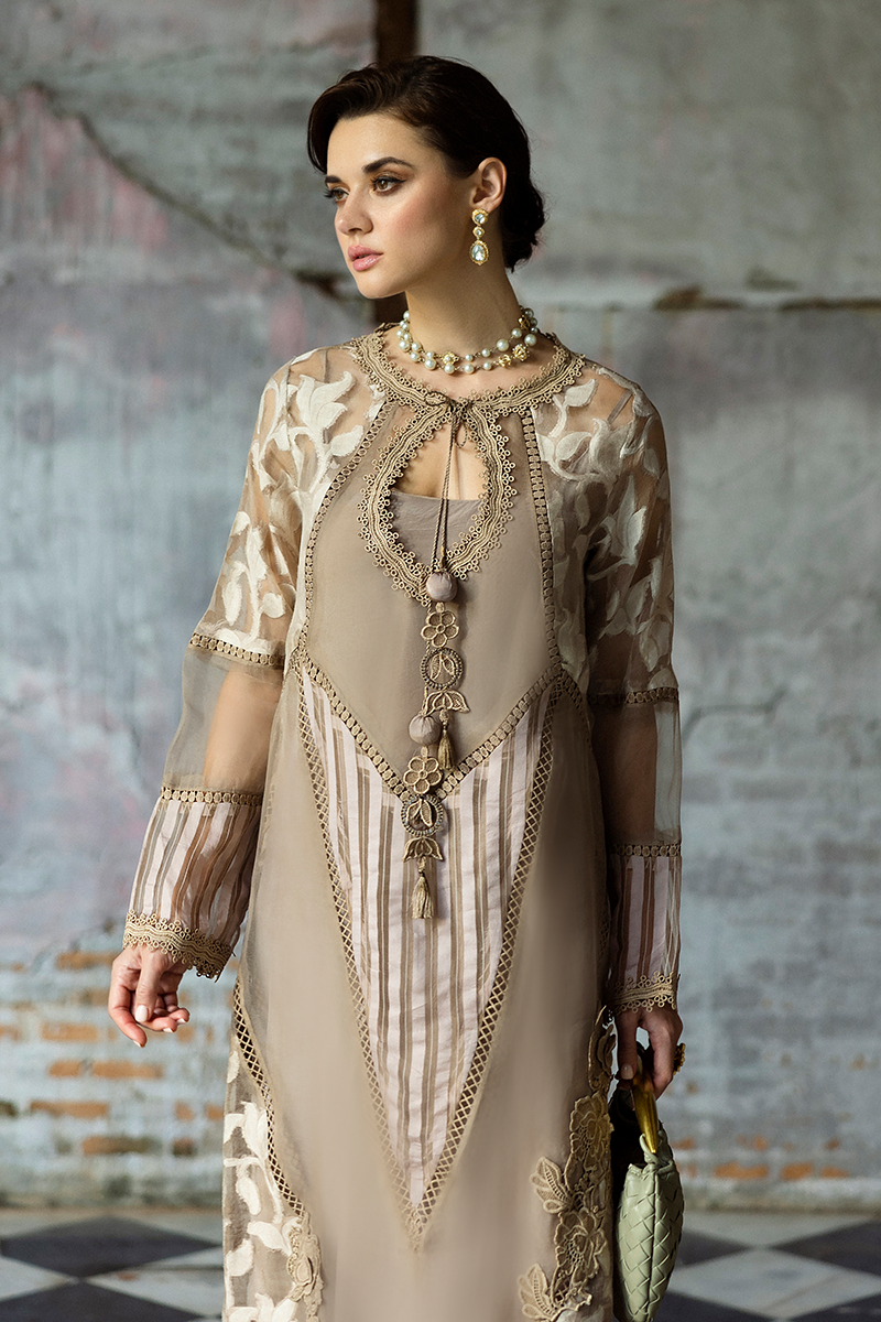 Taupe Embroidered Organza Salwar Kameez (3-Piece) - Image 10