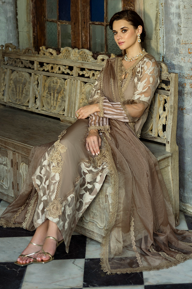 Taupe Embroidered Organza Salwar Kameez (3-Piece) - Image 11