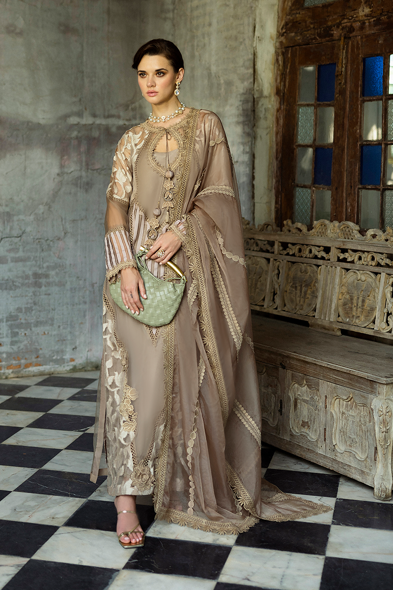 Taupe Embroidered Organza Salwar Kameez (3-Piece) - Image 12