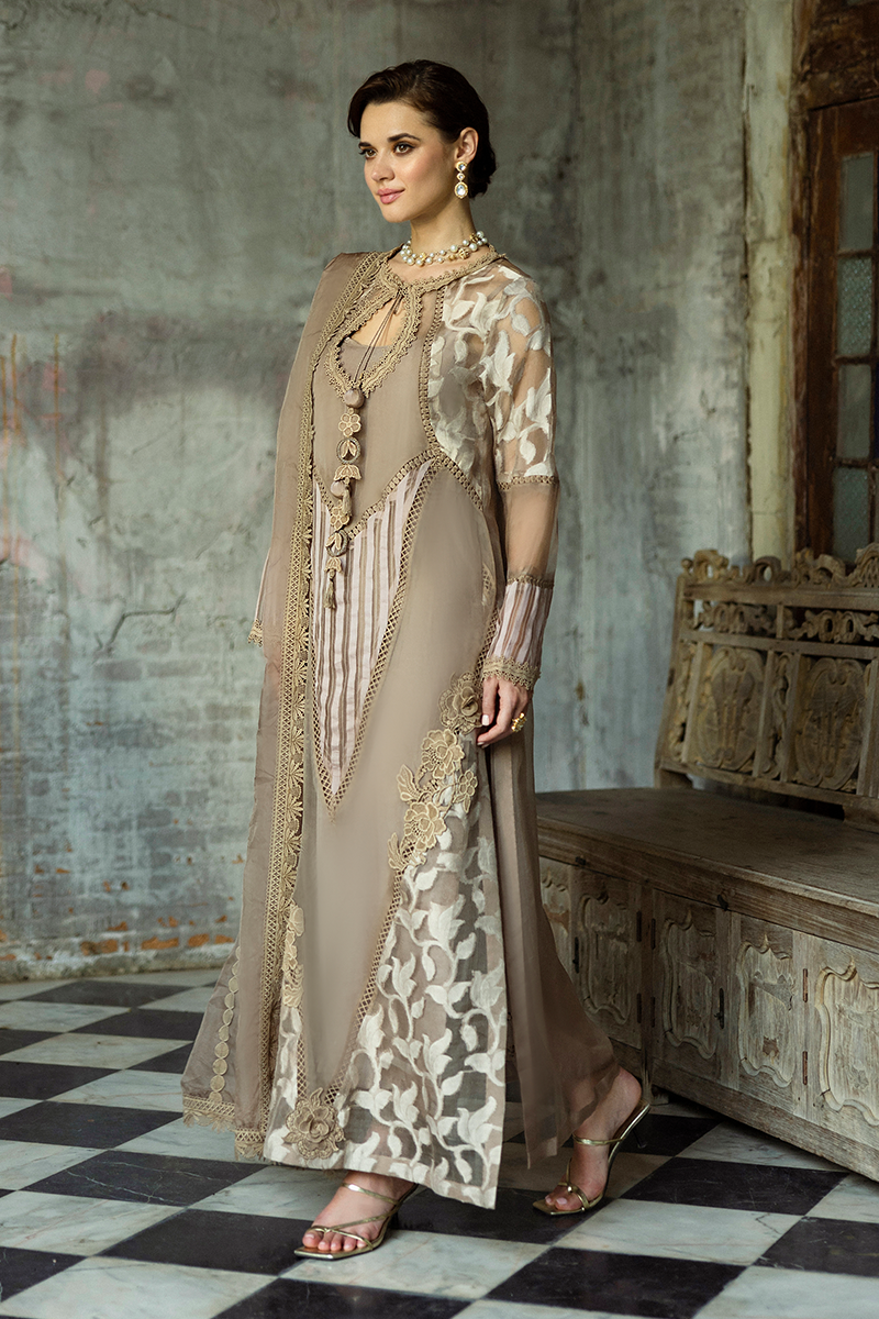 Taupe Embroidered Organza Salwar Kameez (3-Piece) - Image 14