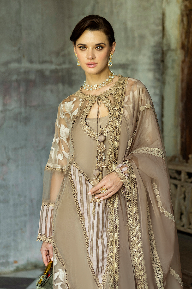 Taupe Embroidered Organza Salwar Kameez (3-Piece) - Image 16