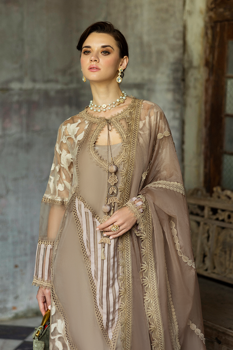 Taupe Embroidered Organza Salwar Kameez (3-Piece) - Image 2