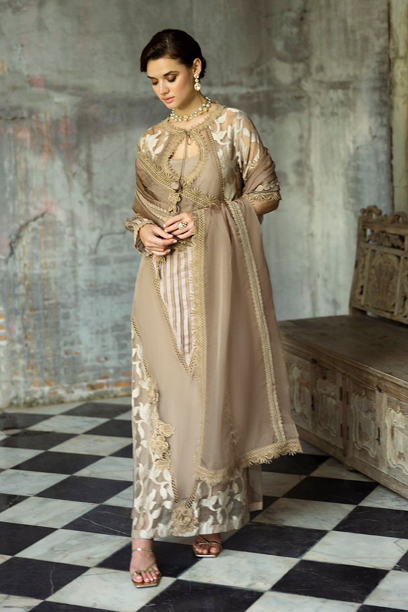 Taupe Embroidered Organza Salwar Kameez (3-Piece) - Image 3
