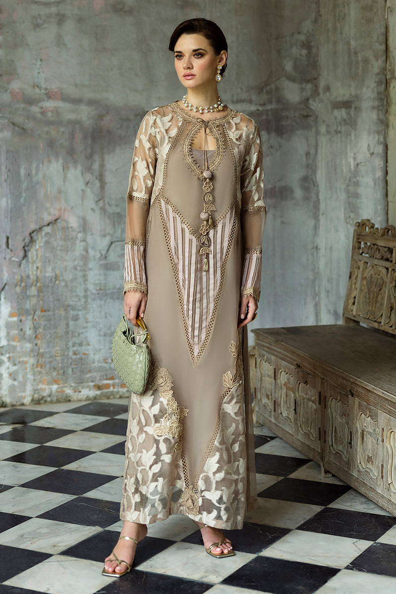 Taupe Embroidered Organza Salwar Kameez (3-Piece) - Image 4