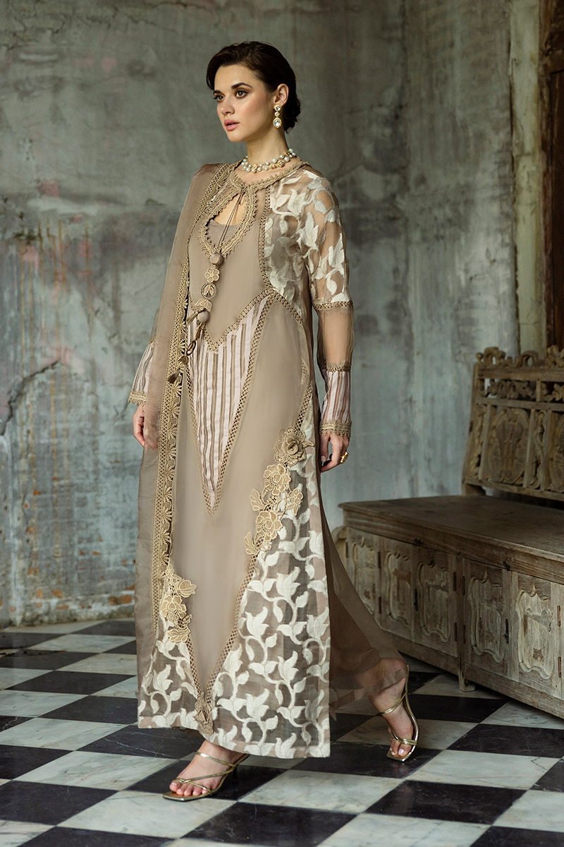 Taupe Embroidered Organza Salwar Kameez (3-Piece) - Image 5