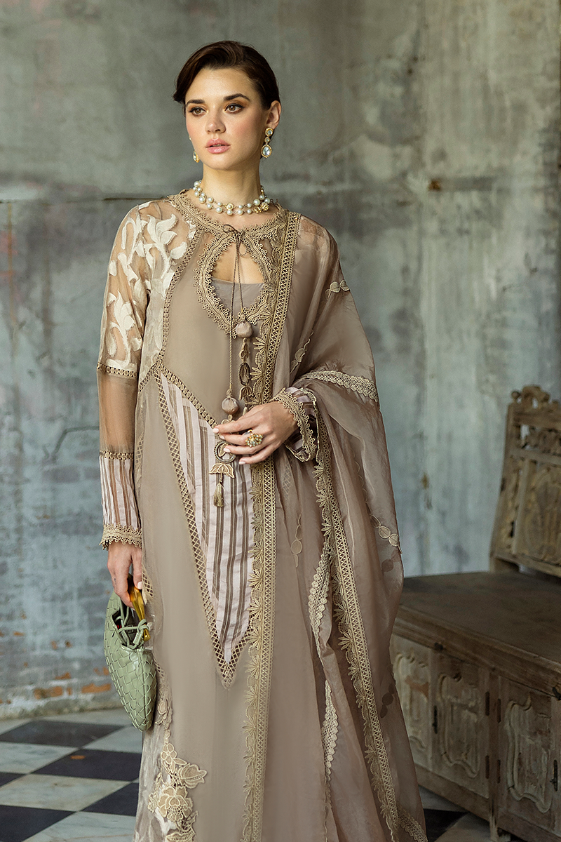 Taupe Embroidered Organza Salwar Kameez (3-Piece) - Image 6