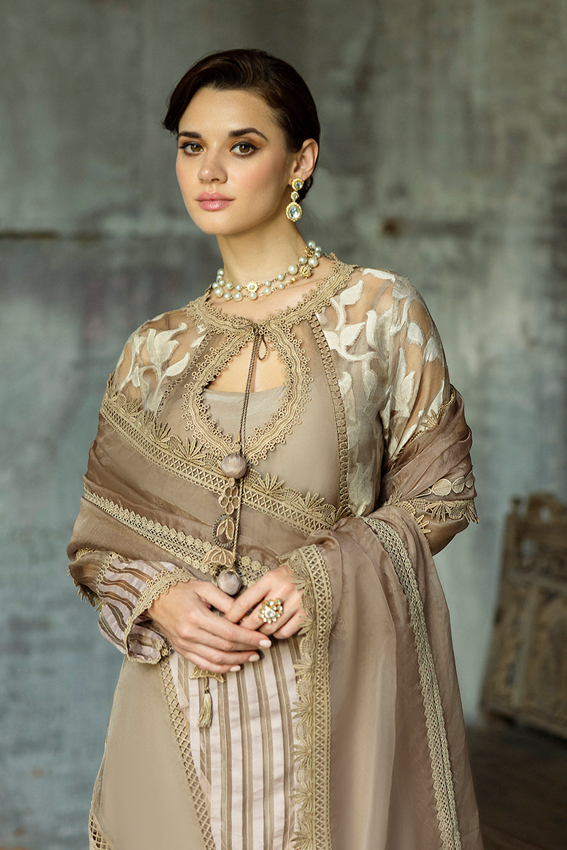 Taupe Embroidered Organza Salwar Kameez (3-Piece) - Image 8