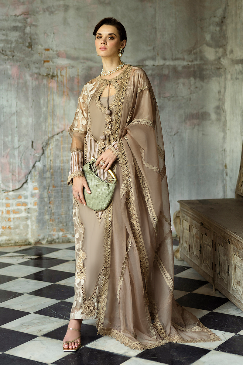 Taupe Embroidered Organza Salwar Kameez (3-Piece) - Image 9