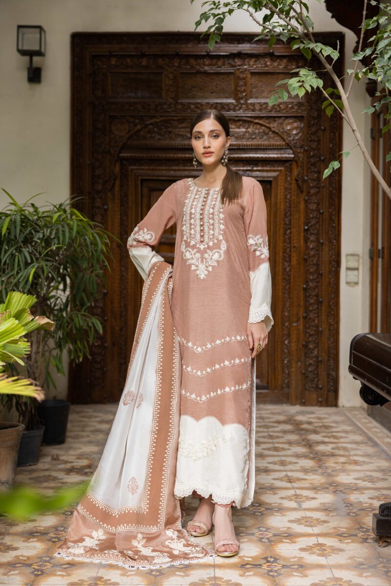 Pakistani Beige Embroidered Raw Silk Salwar Kameez (3-Piece) - Image 1
