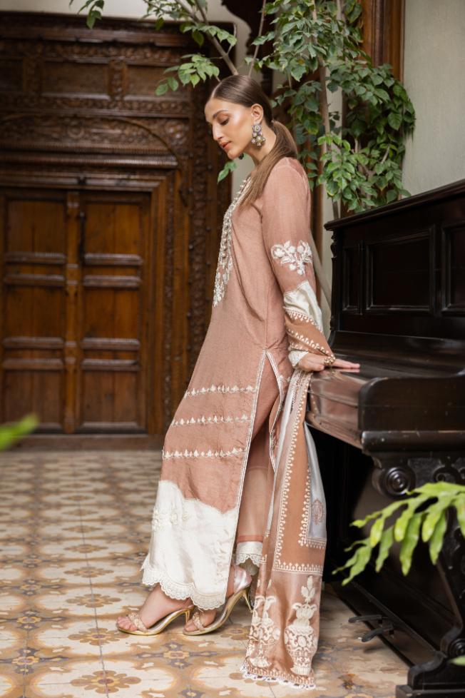 Pakistani Beige Embroidered Raw Silk Salwar Kameez (3-Piece) - Image 3