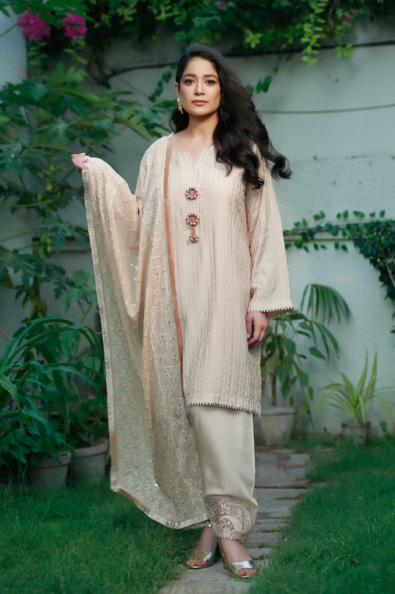 Pakistani Beige Embroidered Net & Raw Silk Kurta Set (3-Piece) - Image 1