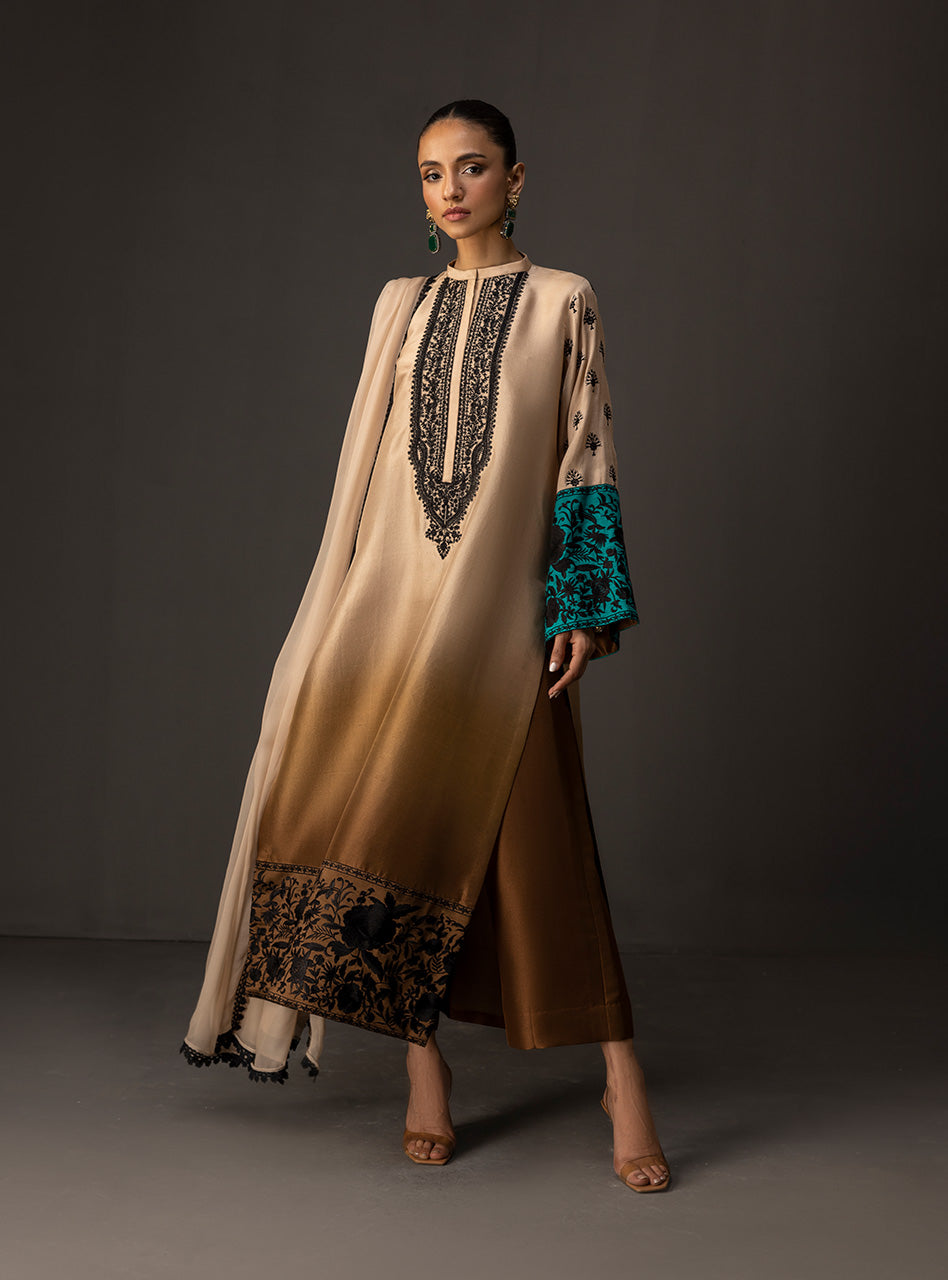 Beige to Taupe Embroidered Raw Silk Salwar Kameez (3-Piece) - Image 6
