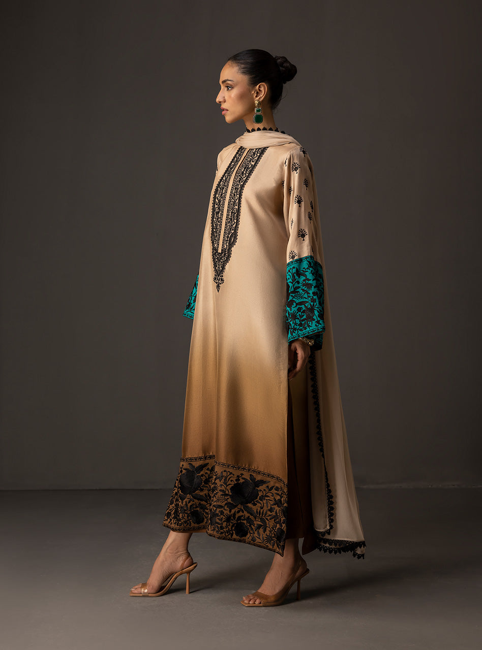 Beige to Taupe Embroidered Raw Silk Salwar Kameez (3-Piece) - Image 5