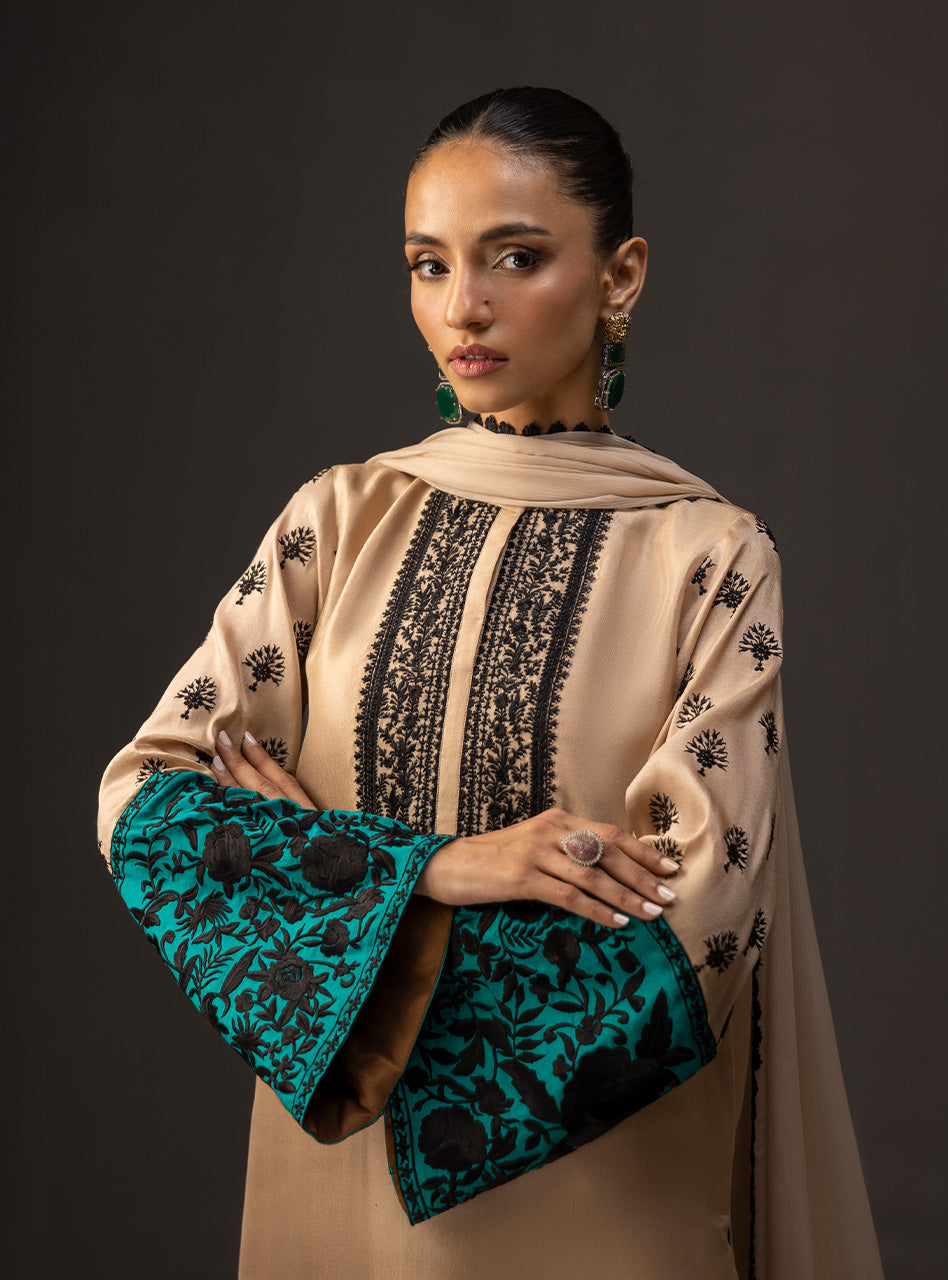 Beige to Taupe Embroidered Raw Silk Salwar Kameez (3-Piece) - Image 8