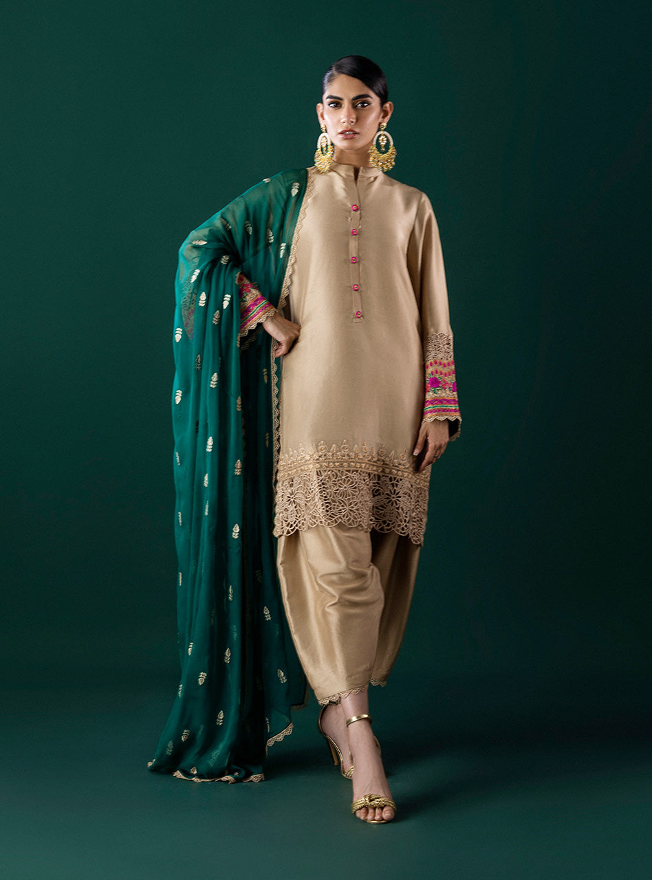 Pakistani Beige Embroidered Silk-Blend Salwar Kameez (3-Piece) - Image 1