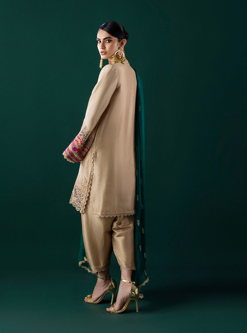 Pakistani Beige Embroidered Silk-Blend Salwar Kameez (3-Piece) - Image 6