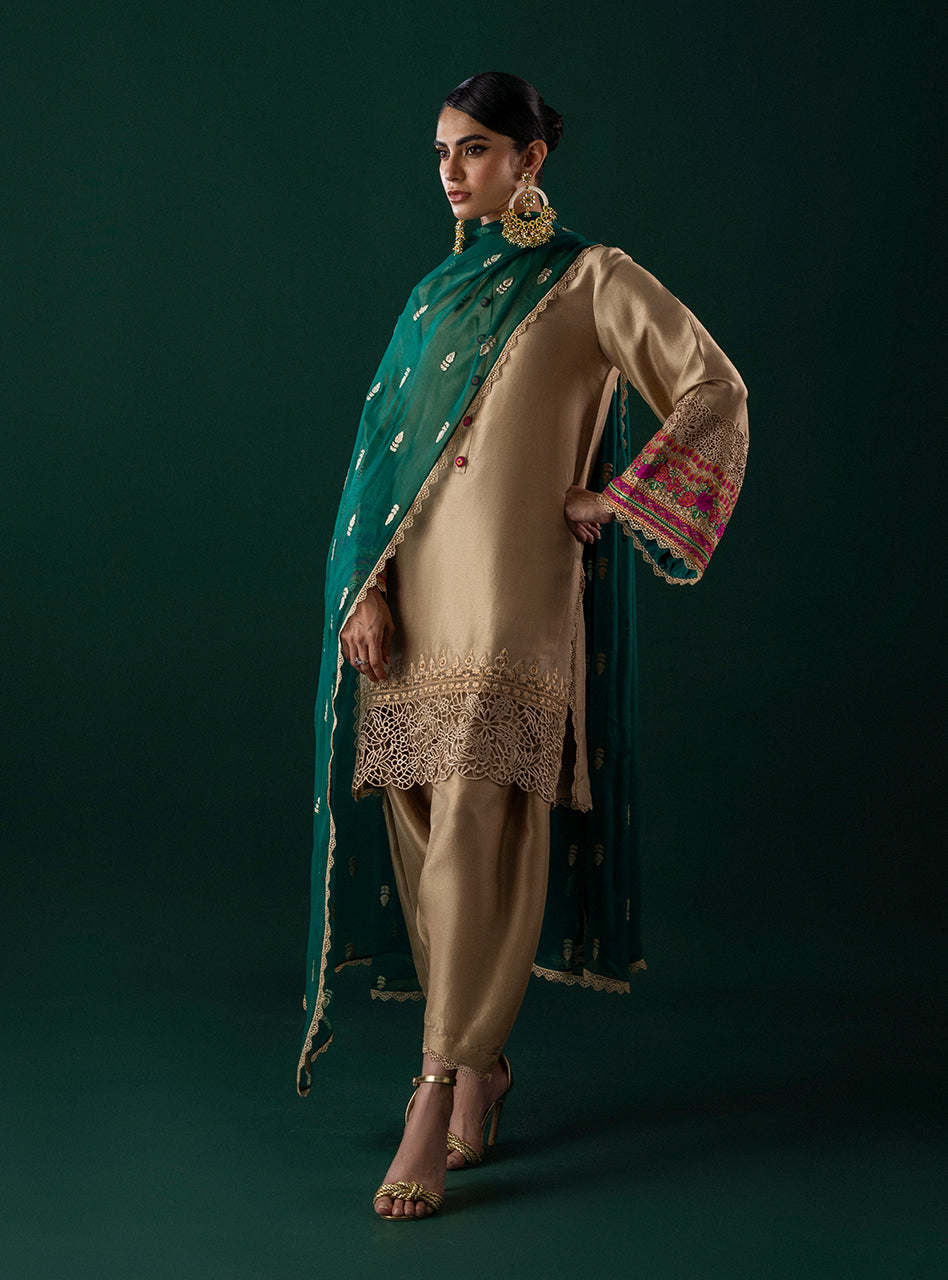 Pakistani Beige Embroidered Silk-Blend Salwar Kameez (3-Piece) - Image 7