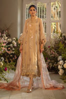 Beige Cutwork Pure Silk Net Salwar Kameez (3-Piece) - Image 2