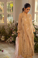 Beige Cutwork Pure Silk Net Salwar Kameez (3-Piece) - Image 3