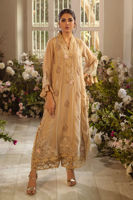 Beige Cutwork Pure Silk Net Salwar Kameez (3-Piece) - Image 6