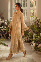 Beige Cutwork Pure Silk Net Salwar Kameez (3-Piece) - Image 7