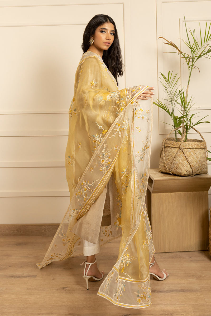 Pakistani Beige Embroidered Silk Salwar Kameez (3-Piece) - Image 1