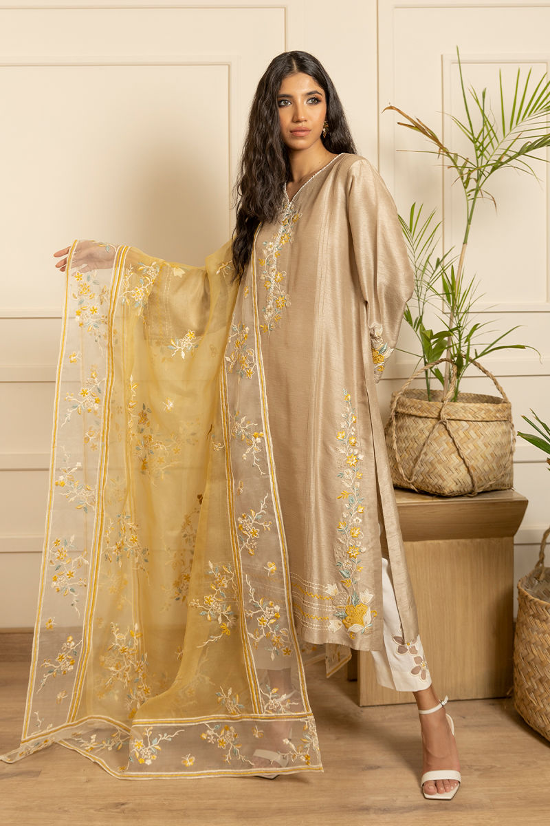Pakistani Beige Embroidered Silk Salwar Kameez (3-Piece) - Image 2