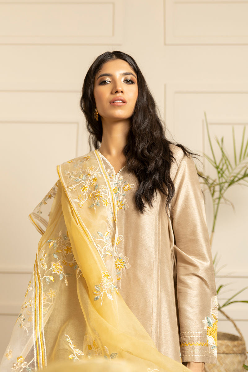 Pakistani Beige Embroidered Silk Salwar Kameez (3-Piece) - Image 3