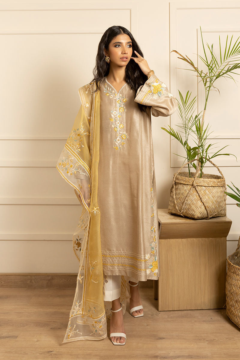 Pakistani Beige Embroidered Silk Salwar Kameez (3-Piece) - Image 4