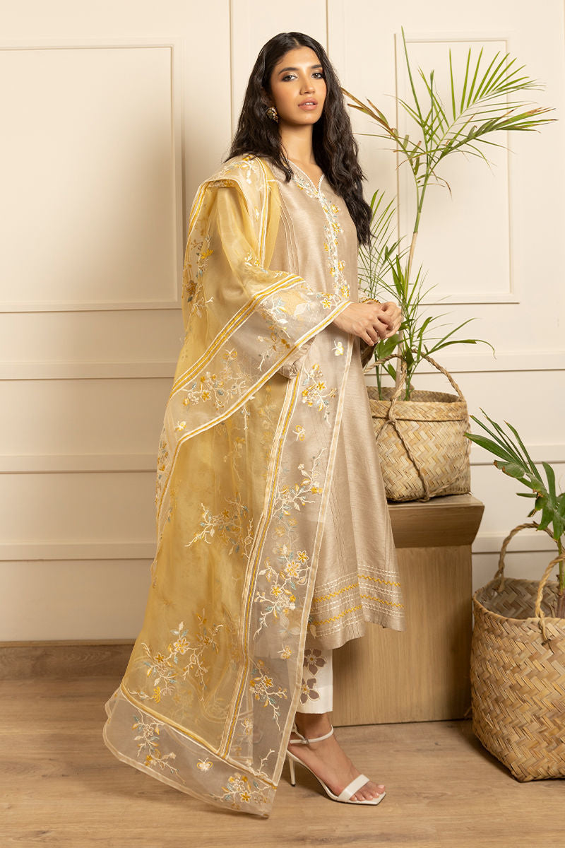Pakistani Beige Embroidered Silk Salwar Kameez (3-Piece) - Image 5