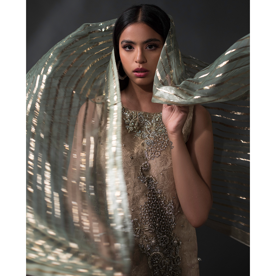 Pakistani Mink & Mint Embellished Tulle Brocade Salwar Kameez (3-Piece) - Image 3