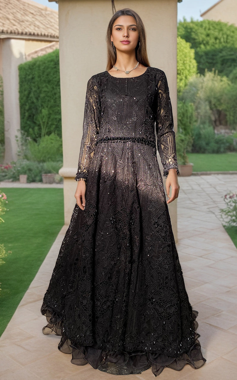 Pakistani Black Embroidered Organza Gown with Sequins (1-Pc) - Image 1