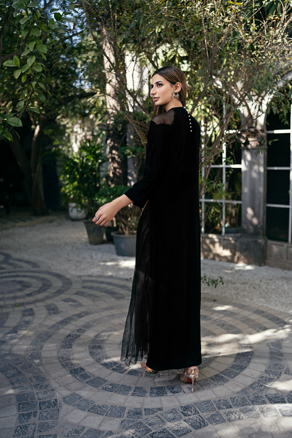 Black Swarovski Embellished Velvet Organza Gown (1-Pc) - Image 5