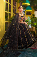 Black Embroidered Net Organza Kalidar (3-Piece) - Image 3
