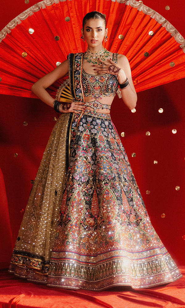 Pakistani Black Embellished Zarri Net Lehenga (3-Piece) - Image 2