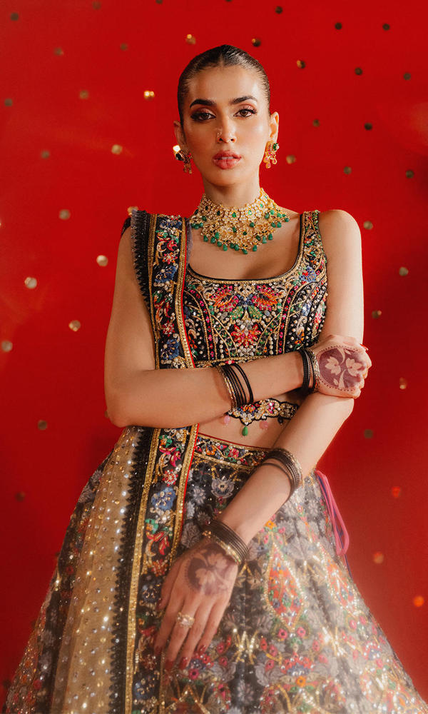 Pakistani Black Embellished Zarri Net Lehenga (3-Piece) - Image 3