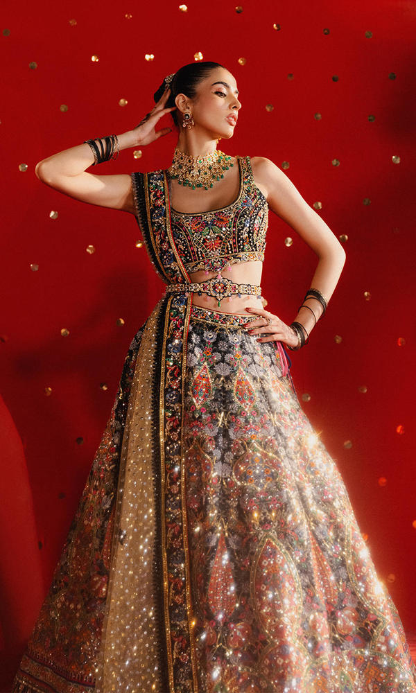 Pakistani Black Embellished Zarri Net Lehenga (3-Piece) - Image 6