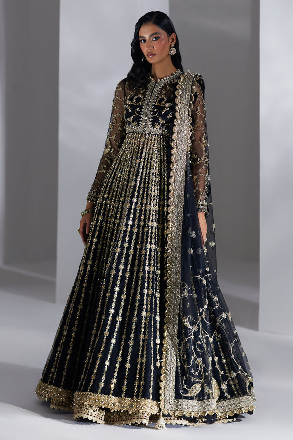 Pakistani Black Embellished Net & Organza Pishwas (2-Piece) - Image 2