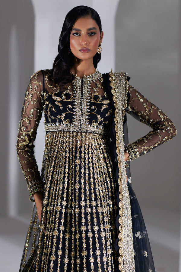 Pakistani Black Embellished Net & Organza Pishwas (2-Piece) - Image 3