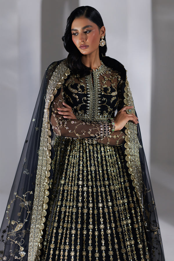 Pakistani Black Embellished Net & Organza Pishwas (2-Piece) - Image 4