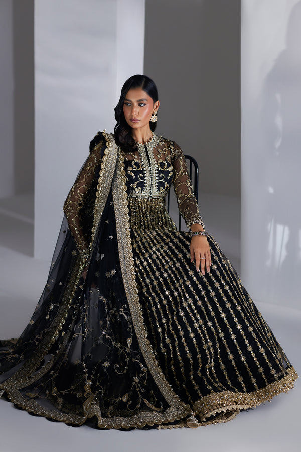 Pakistani Black Embellished Net & Organza Pishwas (2-Piece) - Image 6