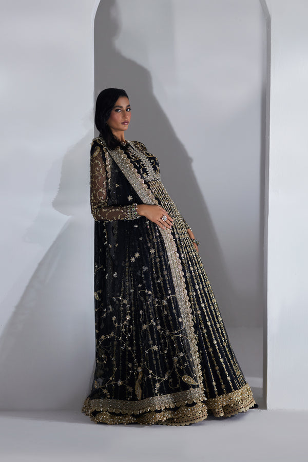 Pakistani Black Embellished Net & Organza Pishwas (2-Piece) - Image 7