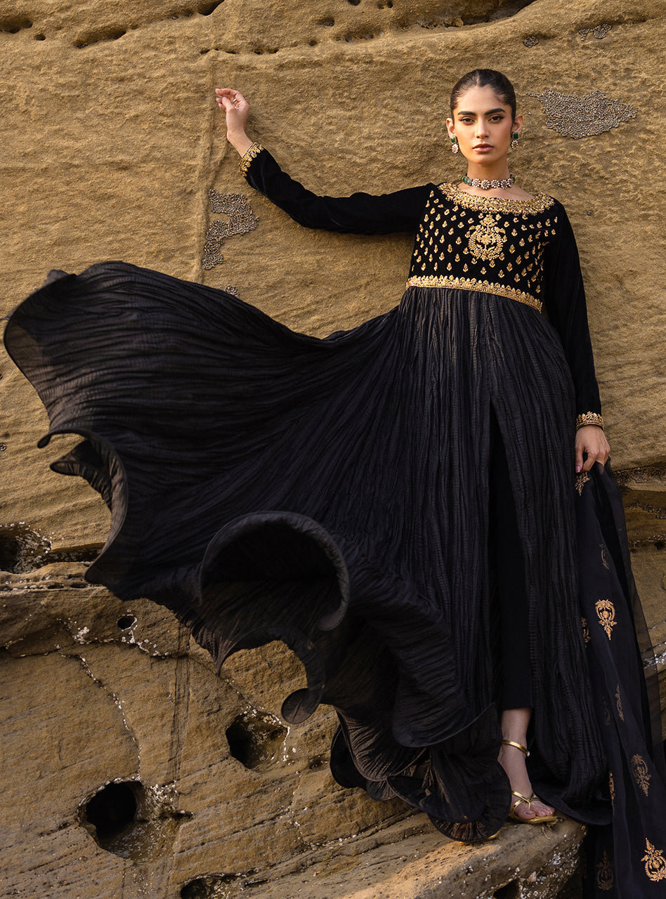 Black Zari Resham Velvet Organza Pishwas (3-Piece) - Image 2