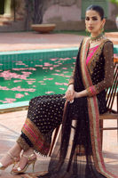 Pakistani Black Handworked Chiffon Salwar Kameez (3-Piece) - Image 6
