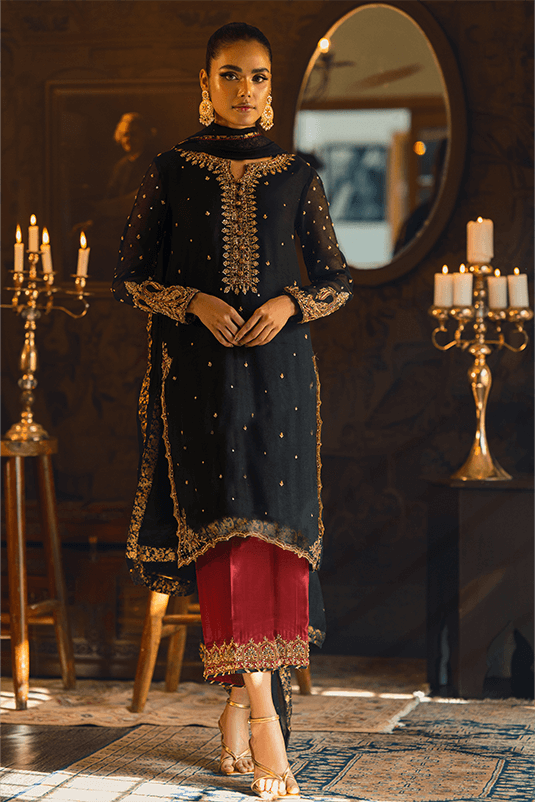 Pakistani Black Embroidered Khaddi Net & Silk Salwar Kameez (3-Piece) - Image 2